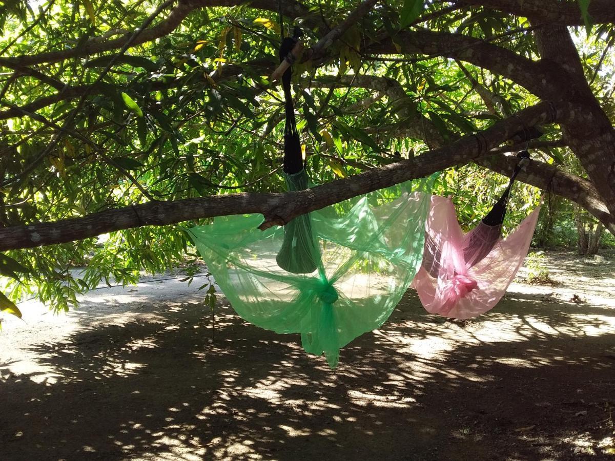 Eco-Camping Mango Feliz Rincon Del Mar Сан-Онофре Экстерьер фото