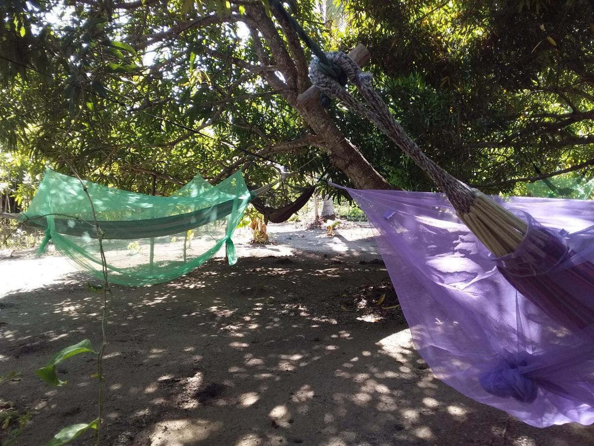 Eco-Camping Mango Feliz Rincon Del Mar Сан-Онофре Экстерьер фото