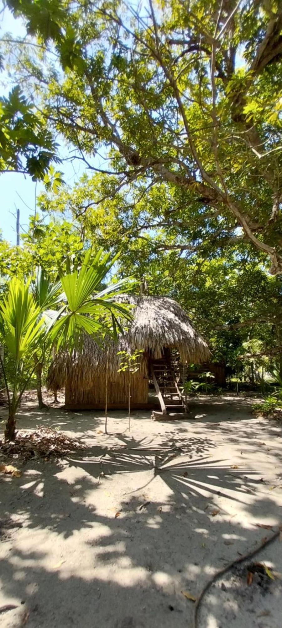 Eco-Camping Mango Feliz Rincon Del Mar Сан-Онофре Экстерьер фото