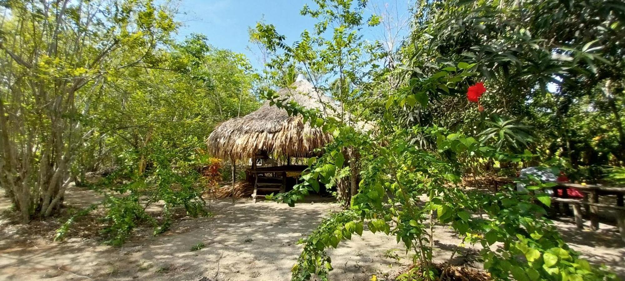 Eco-Camping Mango Feliz Rincon Del Mar Сан-Онофре Экстерьер фото