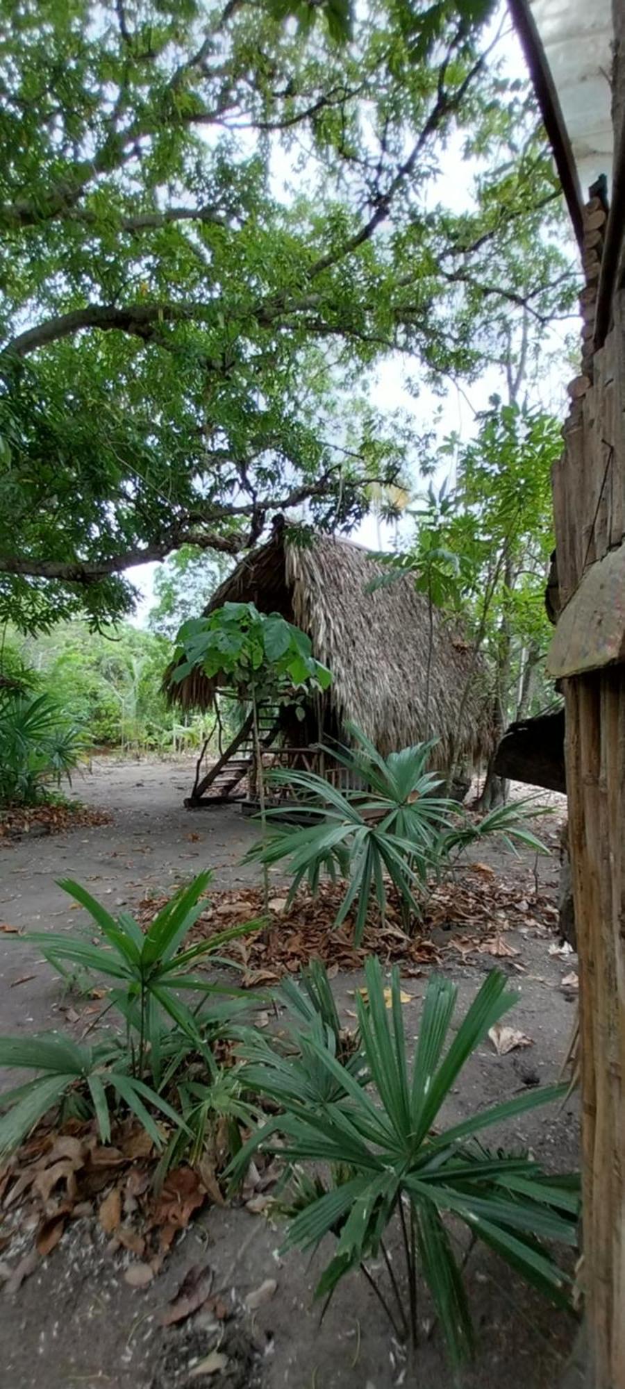 Eco-Camping Mango Feliz Rincon Del Mar Сан-Онофре Экстерьер фото