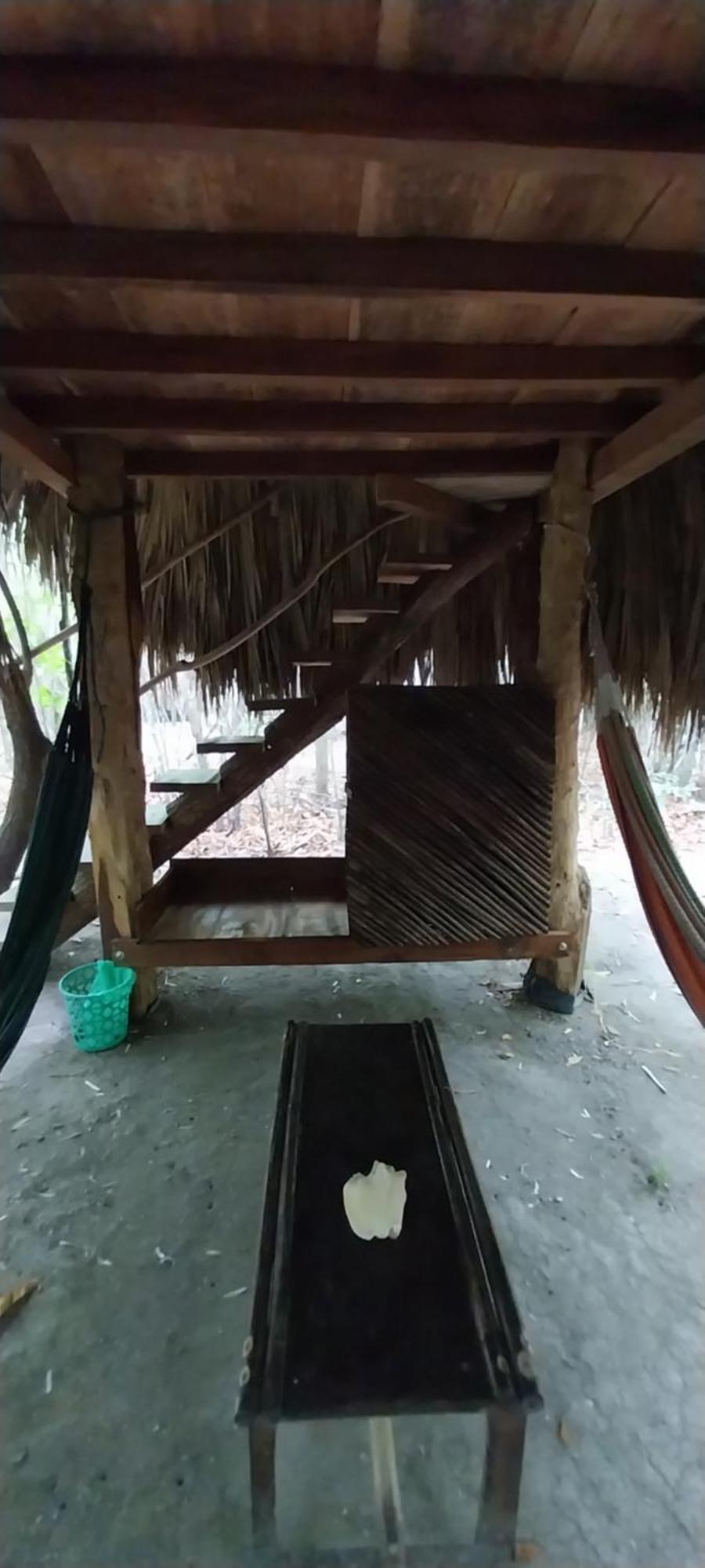 Eco-Camping Mango Feliz Rincon Del Mar Сан-Онофре Экстерьер фото